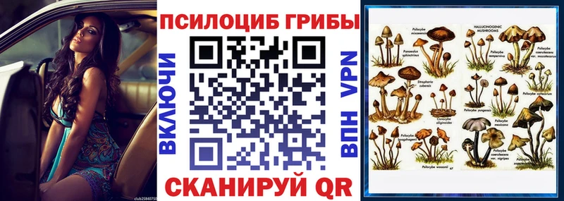 Псилоцибиновые грибы MAGIC MUSHROOMS  Тейково 